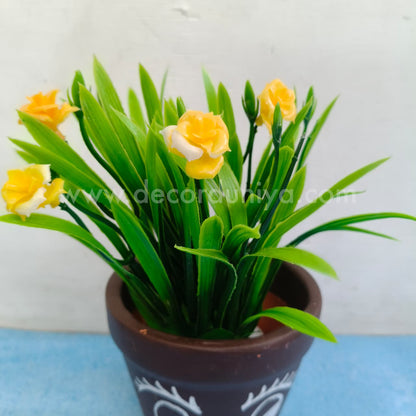 Pot with Plants - DD1211