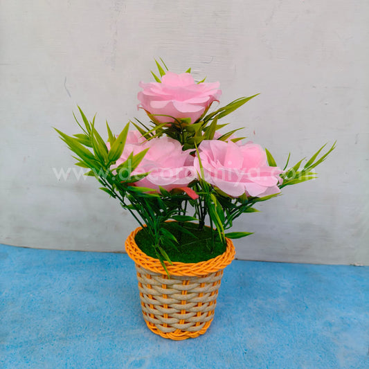 Plants with Flower - BON3