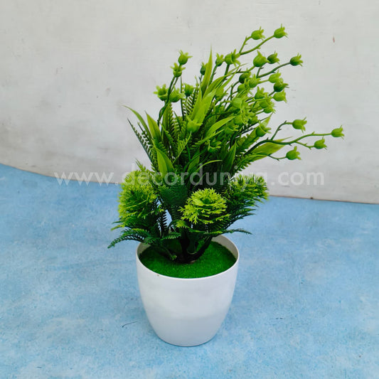 Plants with Pot - FLW2