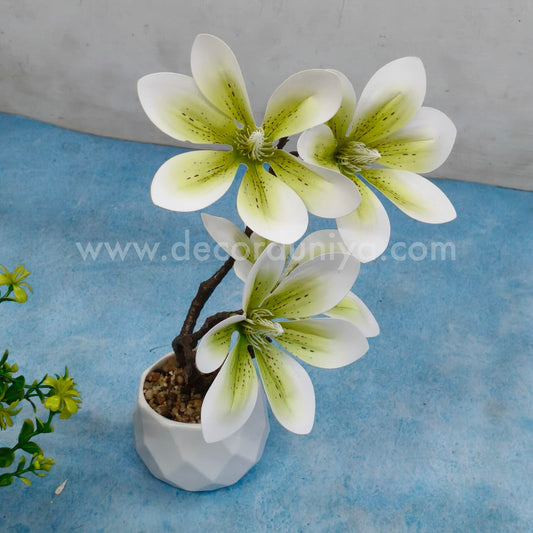 Plants with Flower - FLW11