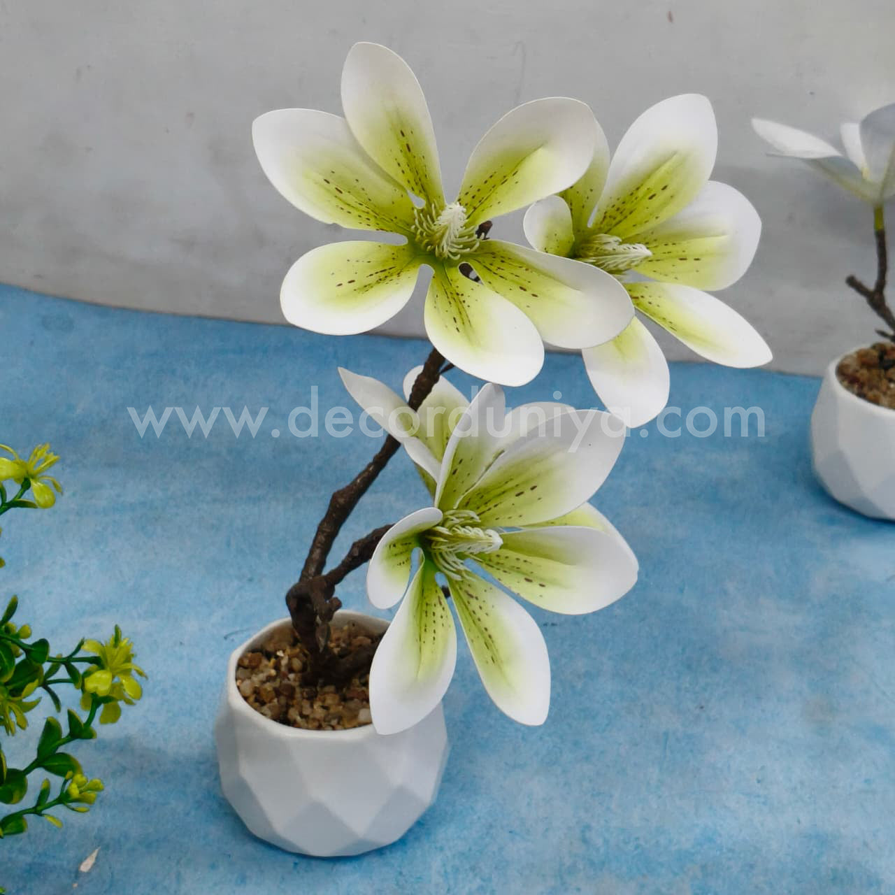 Plants with Flower - FLW11