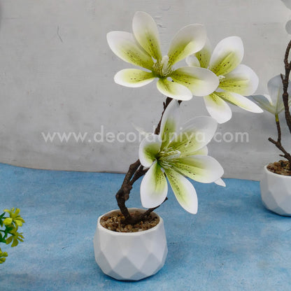Plants with Flower - FLW11