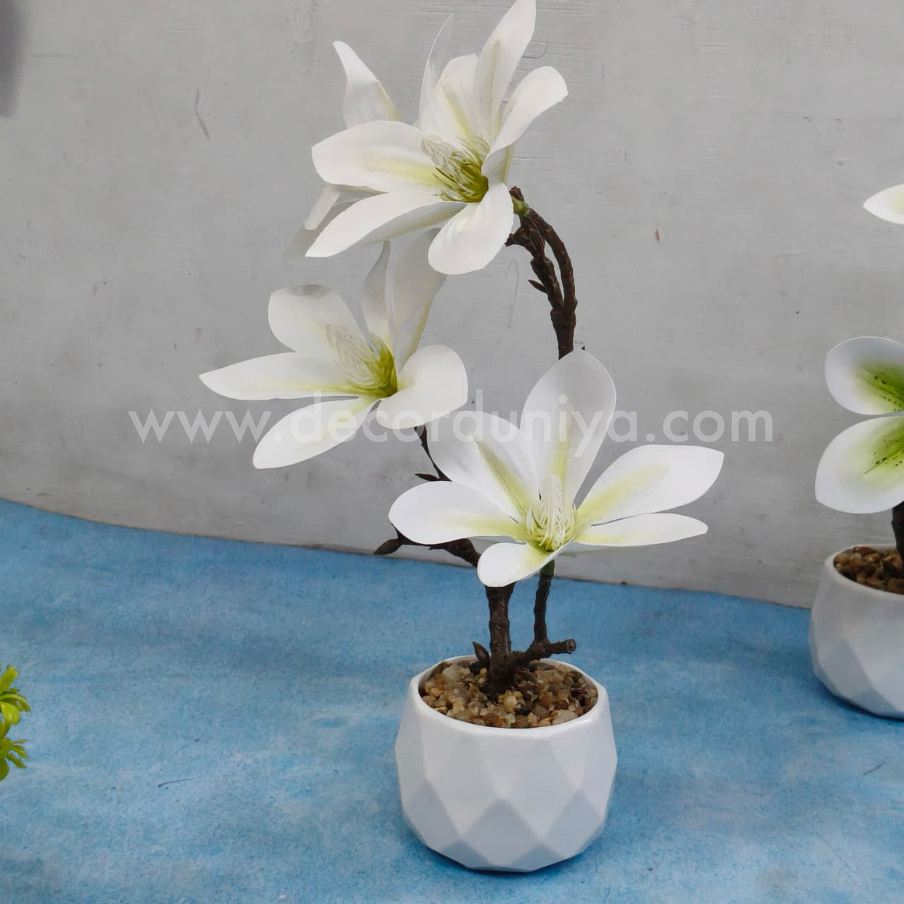 Plants with Flower-FLW13