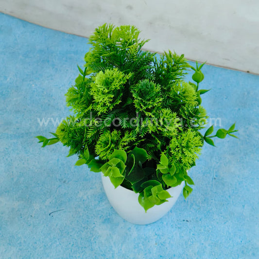 Plants with Flower-FLW22