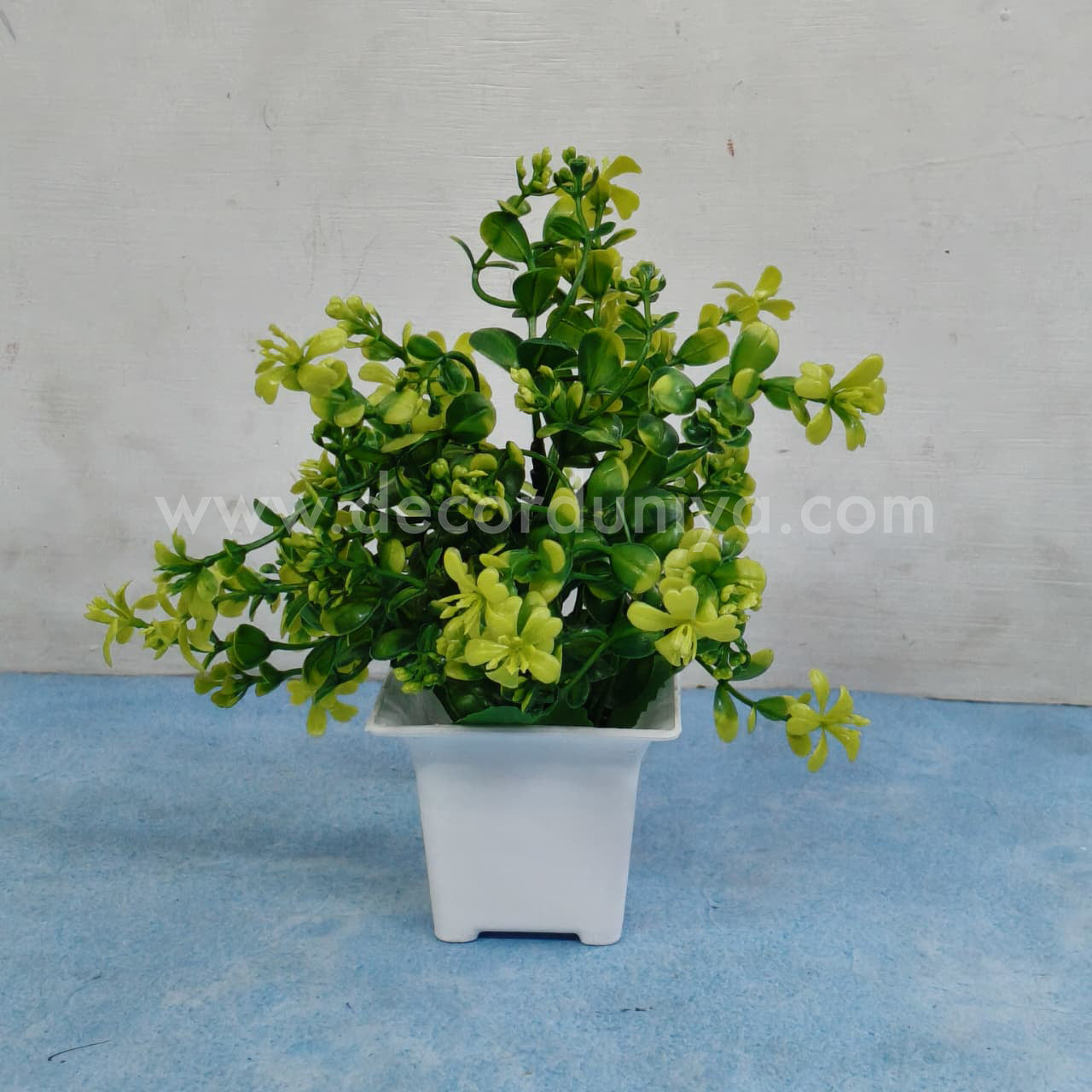 Plants with Flower-FLW4