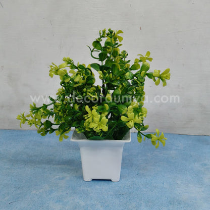 Plants with Flower-FLW4