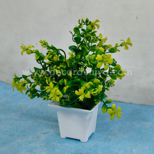 Plants with Flower-FLW4