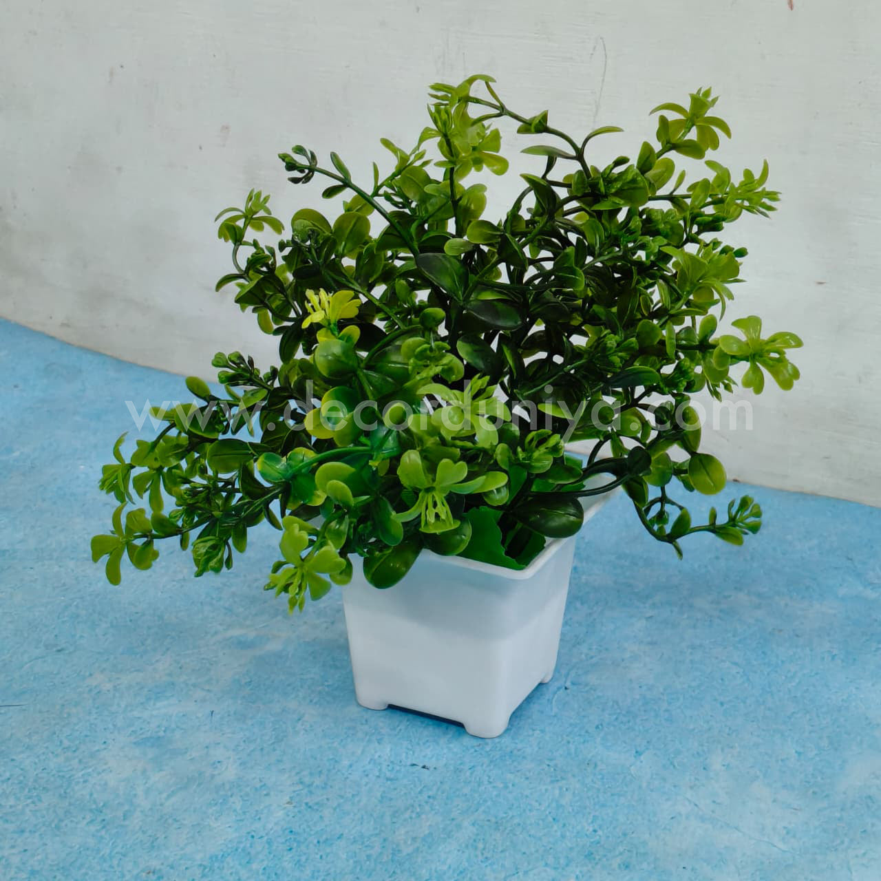 Plants with Flower-FLW41