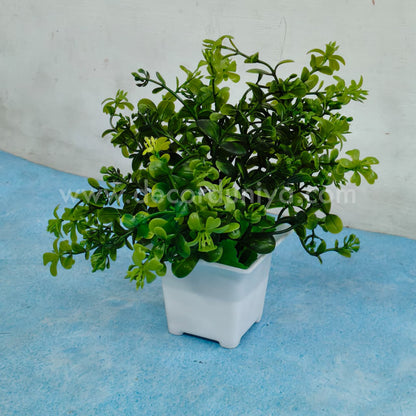 Plants with Flower-FLW41