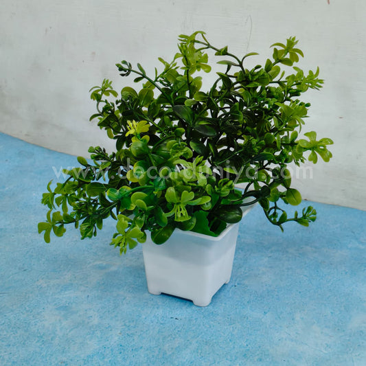 Plants with Flower-FLW41