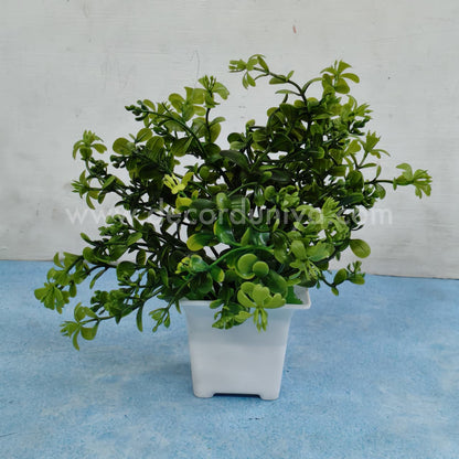 Plants with Flower-FLW41