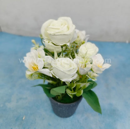 Plants with Flower-BON2