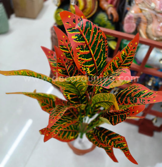 Plants with Flower-FLW51