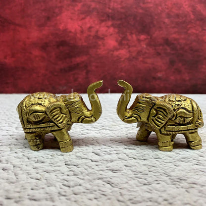 Elephant Pair - RBE1