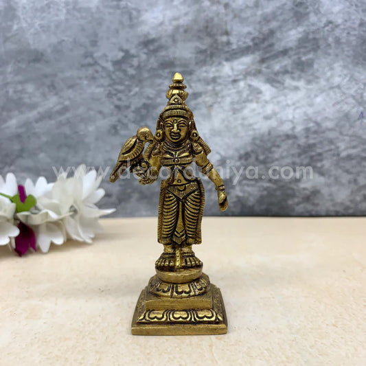 Meenakshi  - RBM3