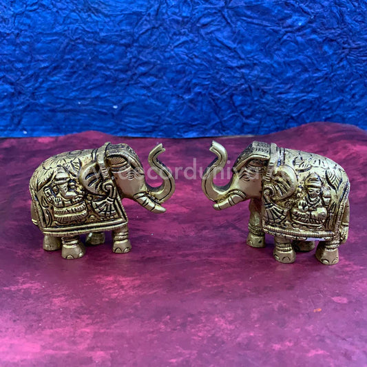 Elephant - RJ16-c