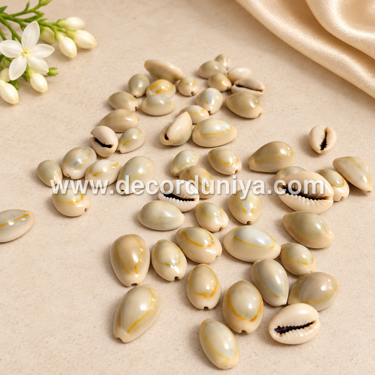 Lakshmi Pooja - Shell - S1