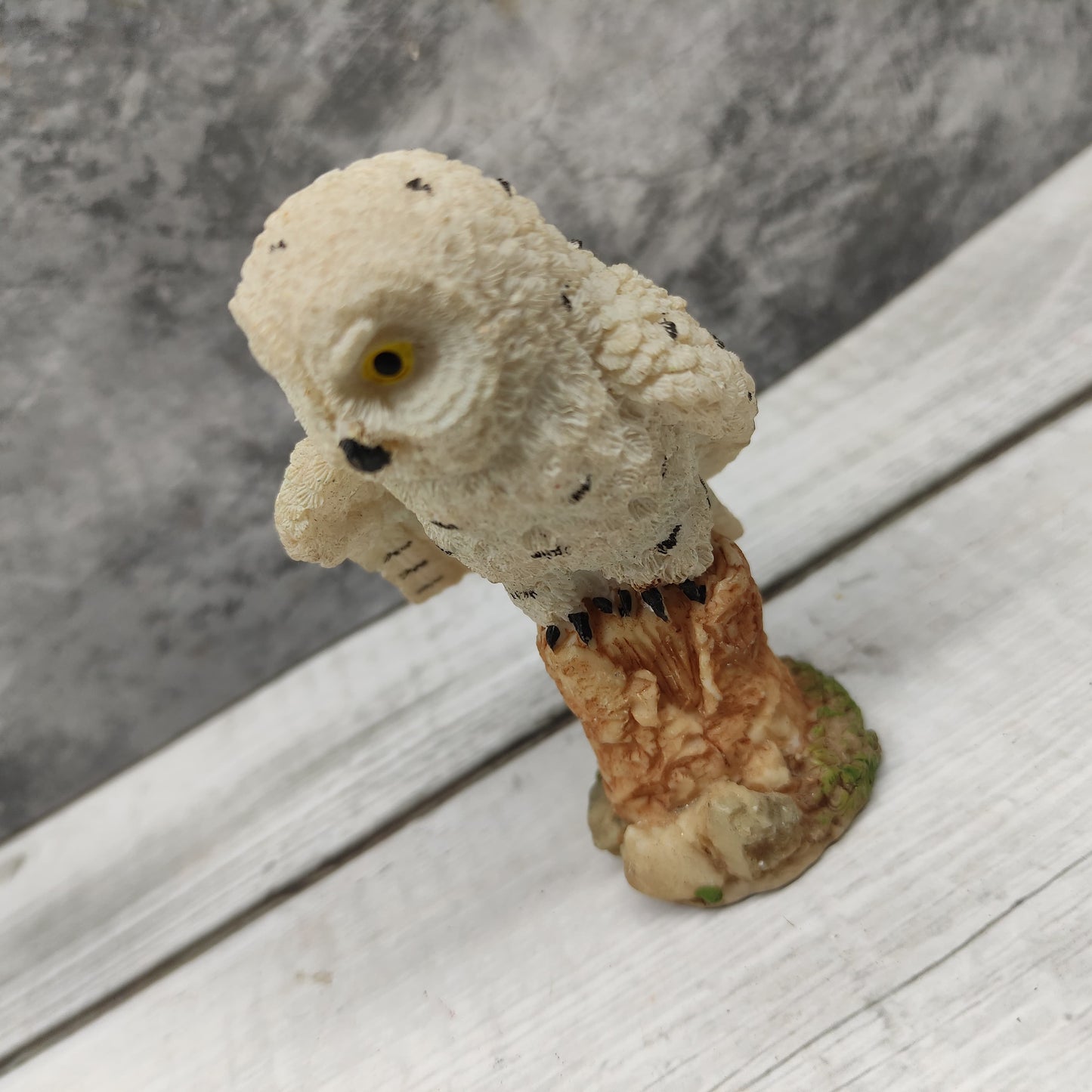Owl - OWP01