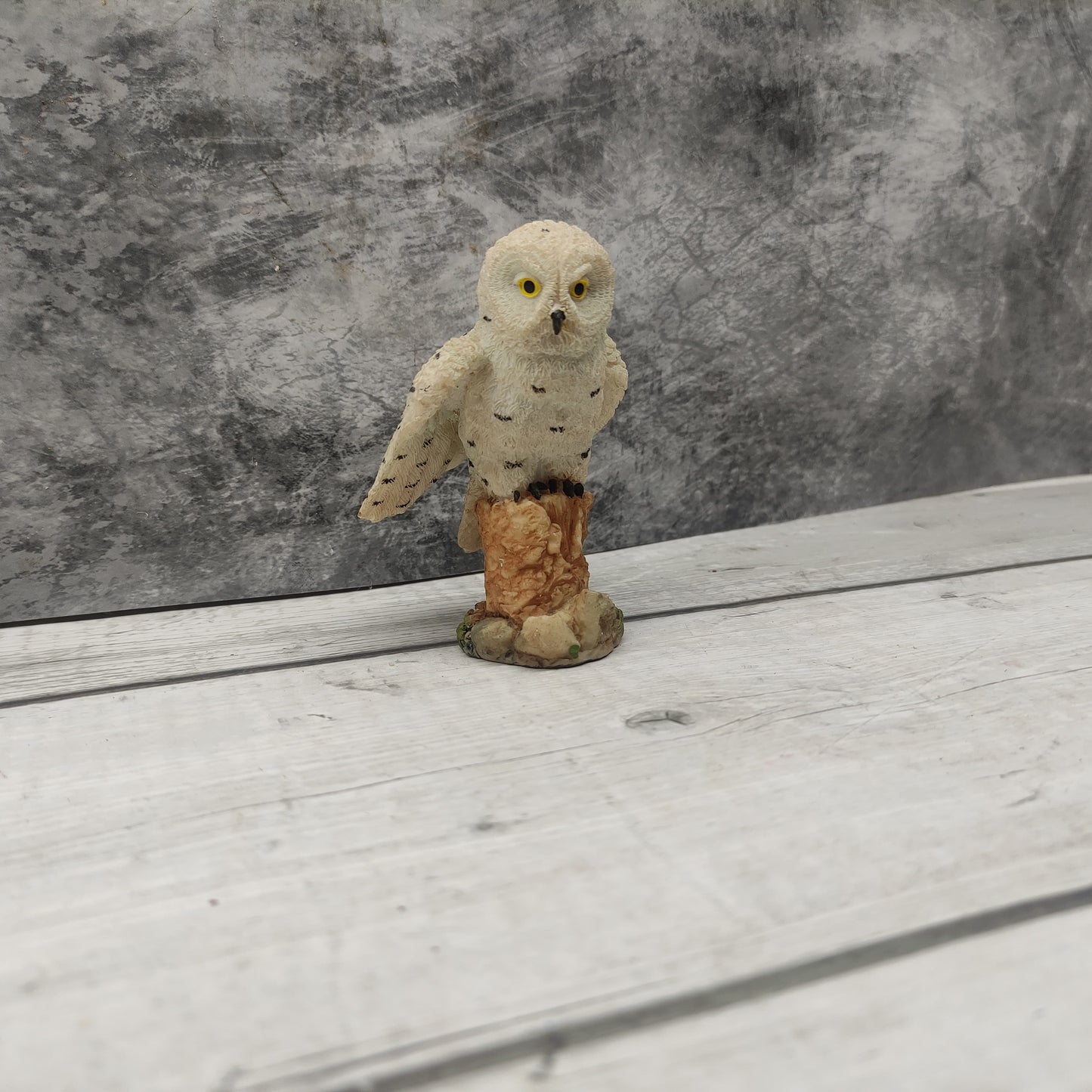 Owl - OWP01